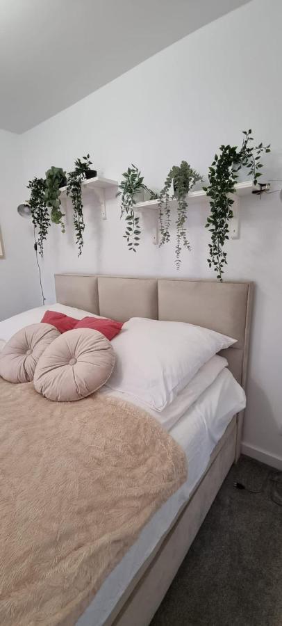 Apartament W Centrum Premium اوسترزوكي دولن المظهر الخارجي الصورة